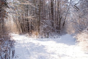 Outdoor Activities Berkshires Winter